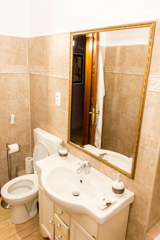 Chic Apartment براشوف المظهر الخارجي الصورة