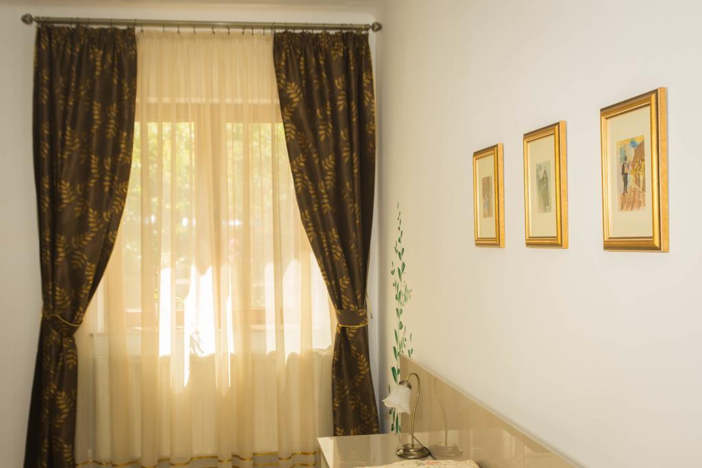 Chic Apartment براشوف المظهر الخارجي الصورة