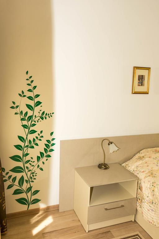 Chic Apartment براشوف المظهر الخارجي الصورة